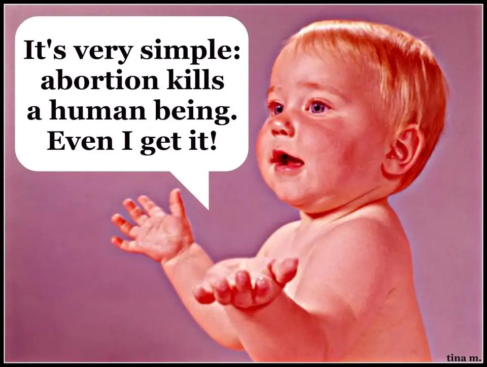 581185_4214868448758_422904411_n