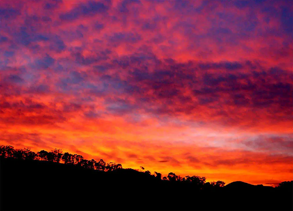 Photo Source: Wikimedia Commons