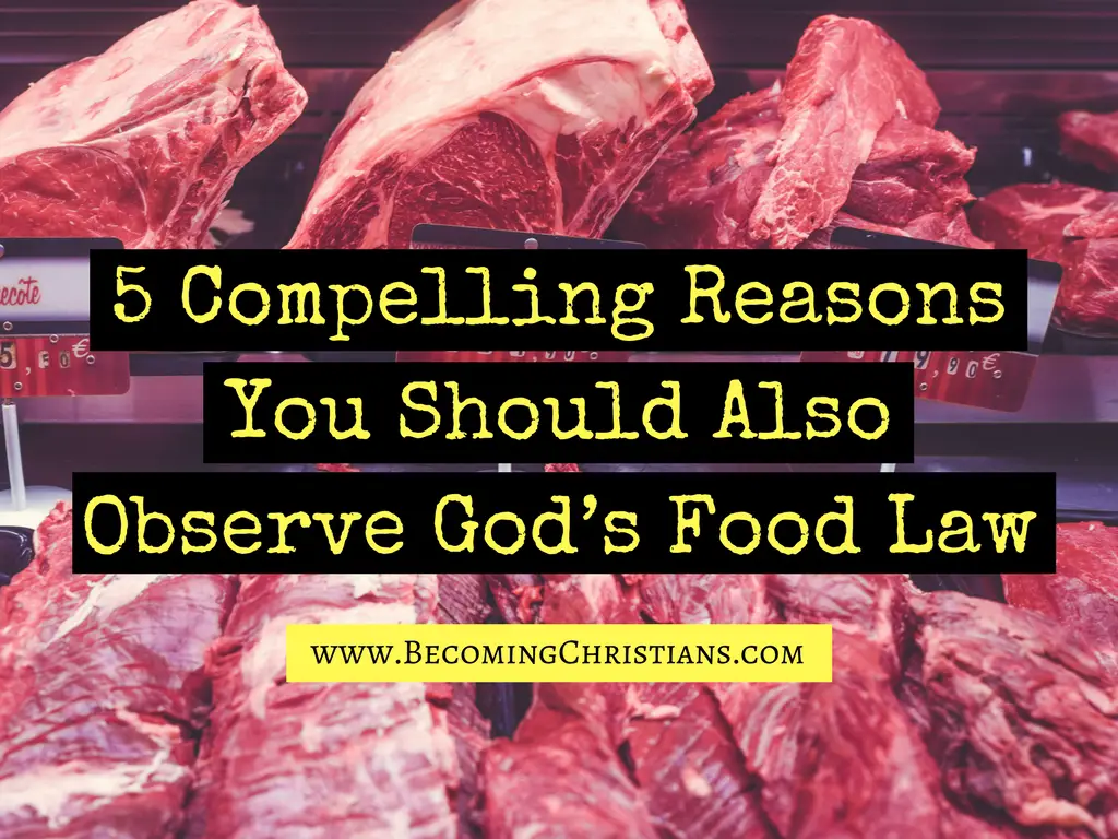 5 Compelling Reasons You Should Also Observe God_s Food Law