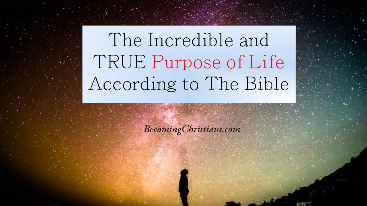 The Incredible and TRUE Purpose of Life According to The Bible
