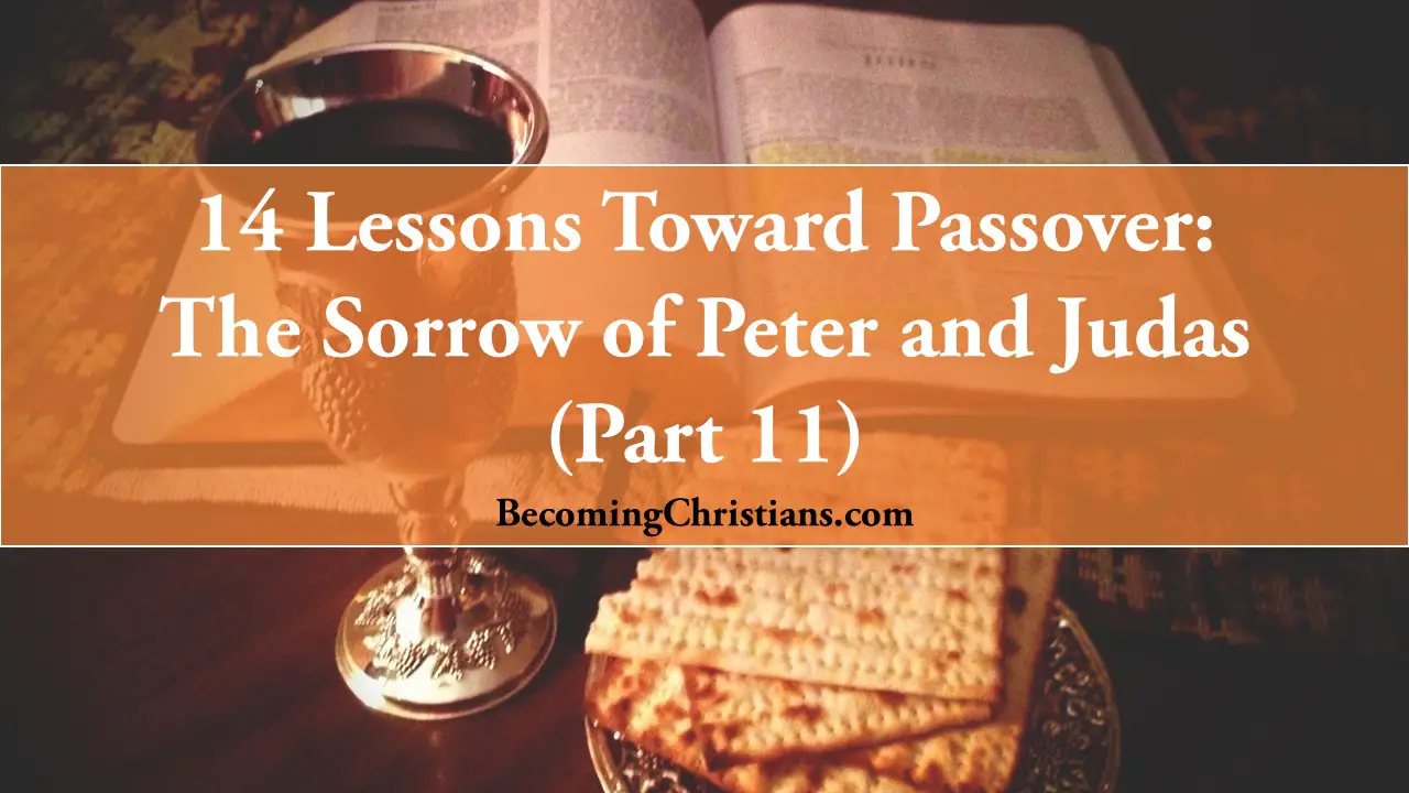 14 Lessons Toward Passover: The Difference Between the Sorrow of Peter and Judas