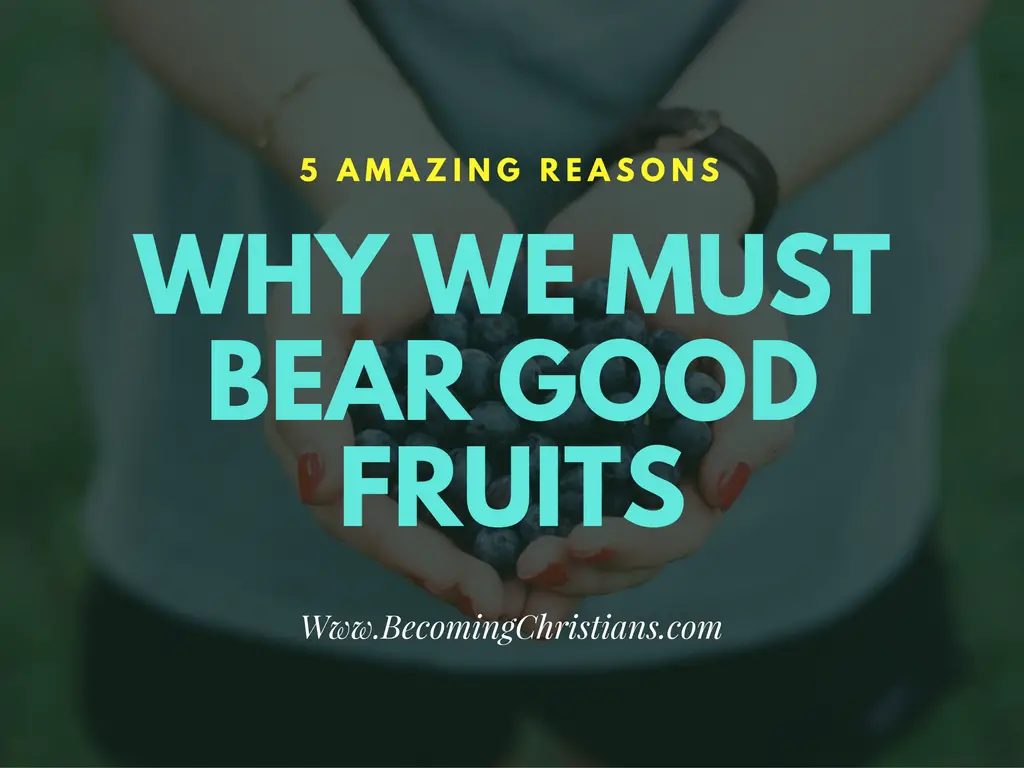 5 amazing reasons Christians Should Bear Good Fruits