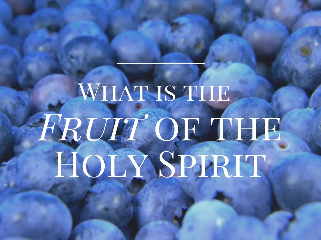 What is the Fruit of the Holy Spirit?