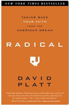 Radical Taking Back Your Faith from the American Dream.JPG