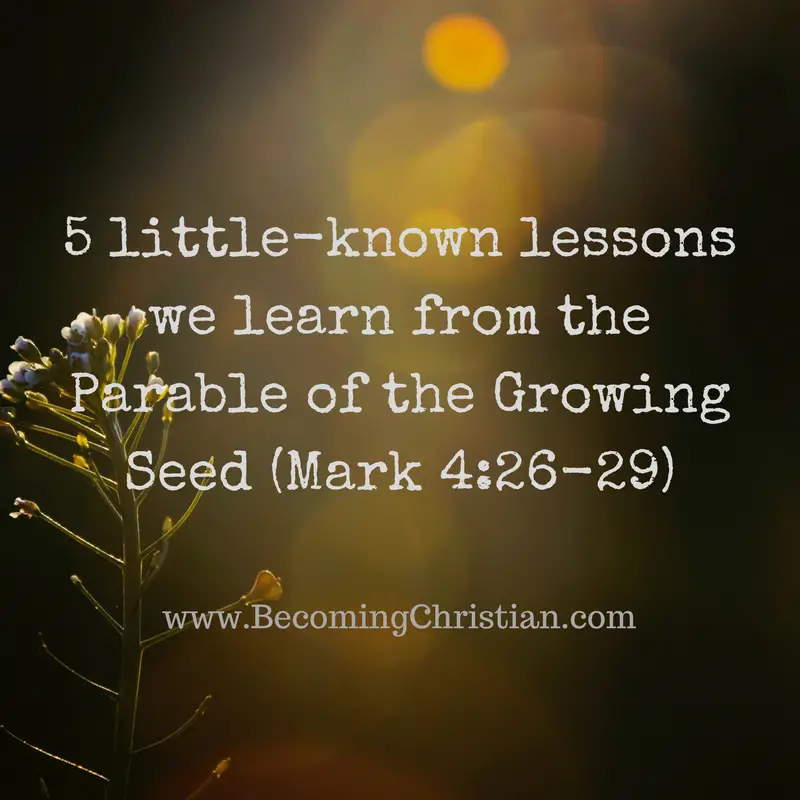 5 little-known lessons we learn from the Parable of the Growing Seed (Mark 4-26-29)