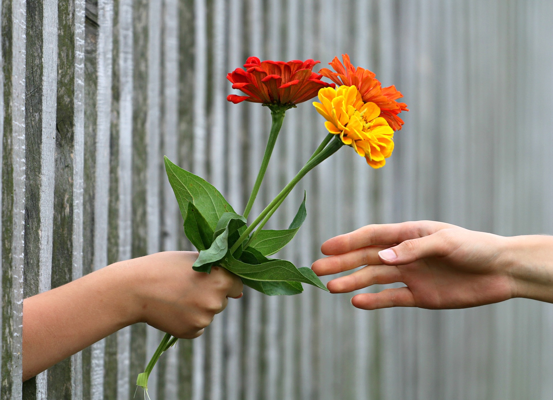 A Story of giving