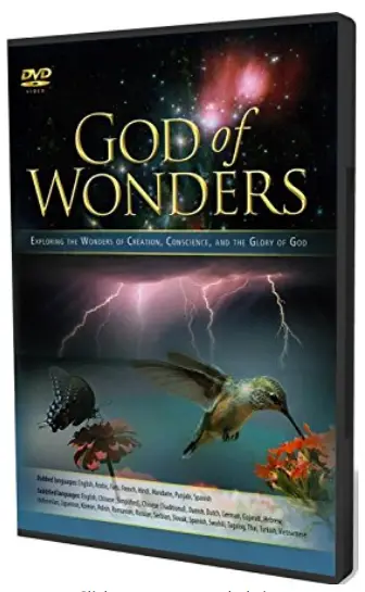 God of Wonders
