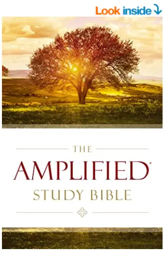 The Amplified Study Bible