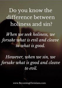 The difference between holiness and sin
