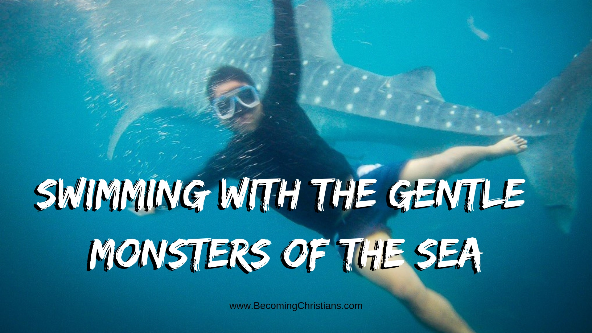 Swimming with the Gentle Monsters of the Sea