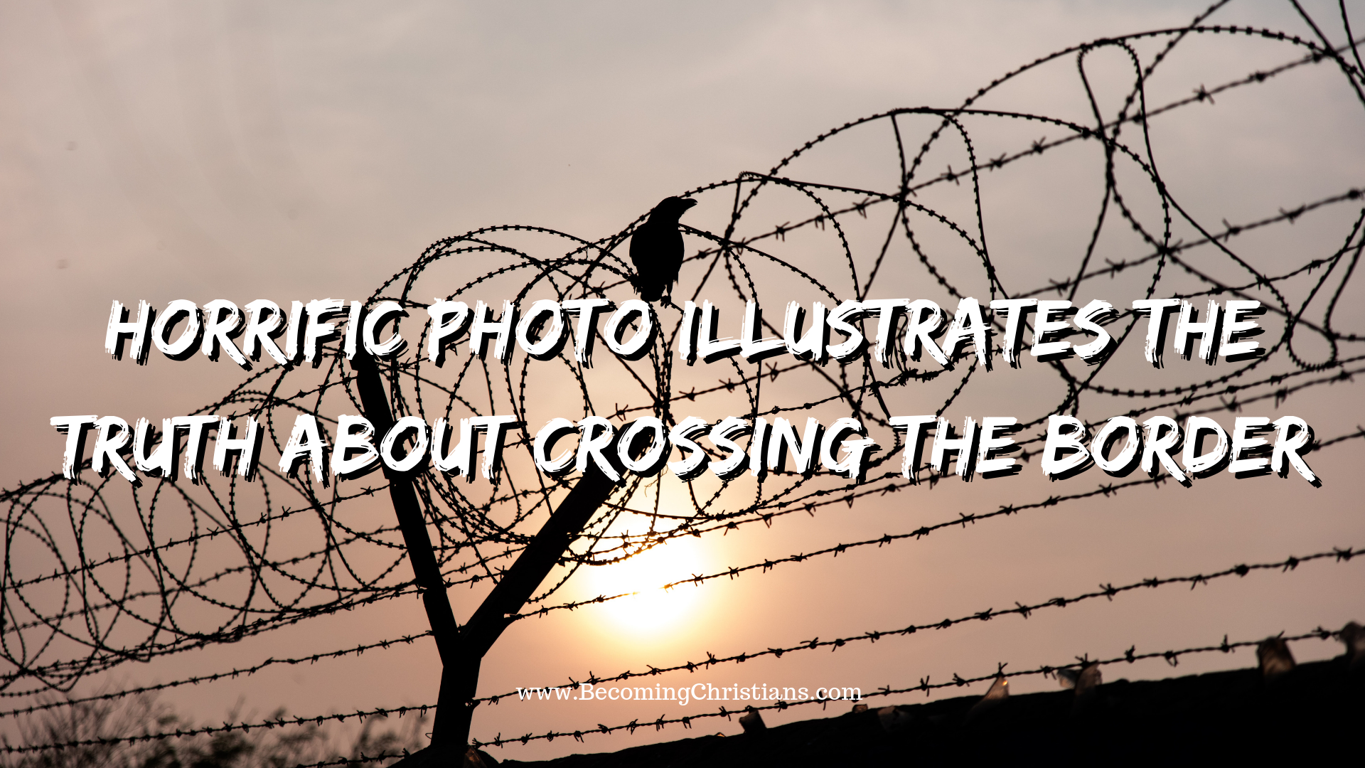 Horrific Photo Illustrates the Truth About Crossing the Border.png