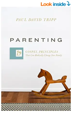 Parenting by Paul Tripp Christian books for fathers