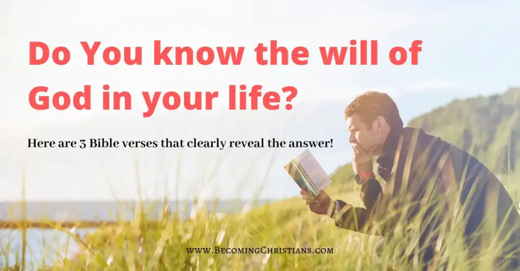 Here is a blog that discusses what the will of God is.
