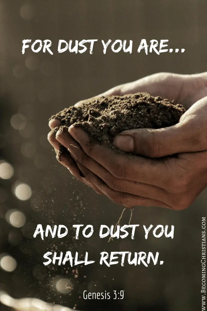 Genesis 3:19 For dust you are, And to dust you shall return.”
