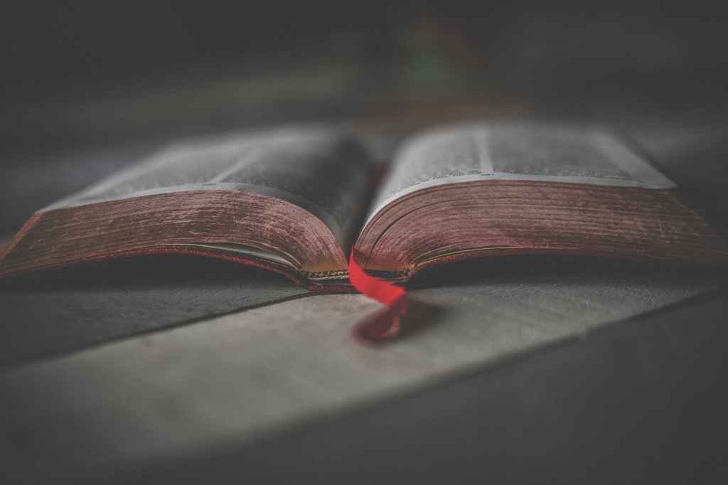 What does the Bible say about the law of God