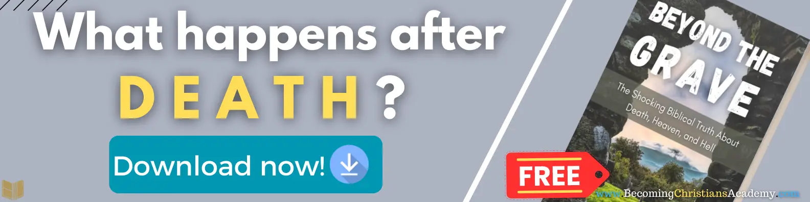 What happens after DEATH banner free ebook