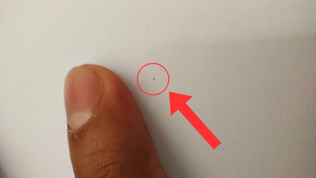 Tiny speck that caused eye irritation with my finger for visualization