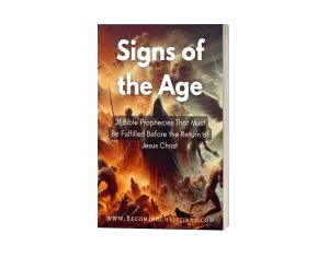 Signs of the Age 3d cover