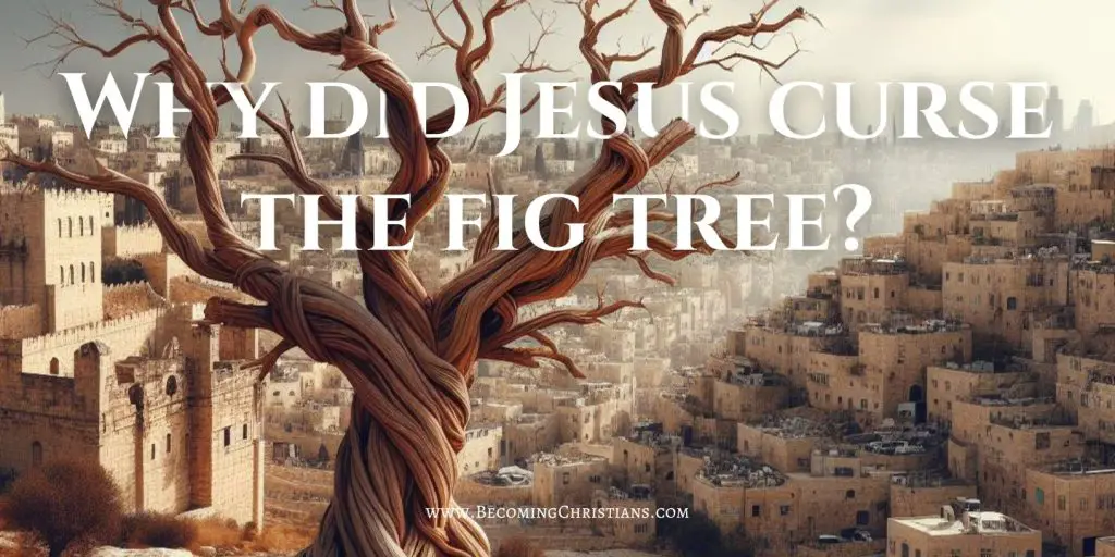 Why did Jesus curse the fig tree blog image