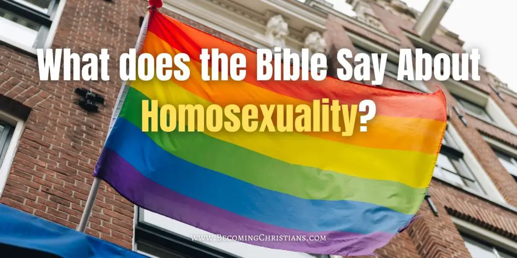 What does the Bible Say About Homosexuality