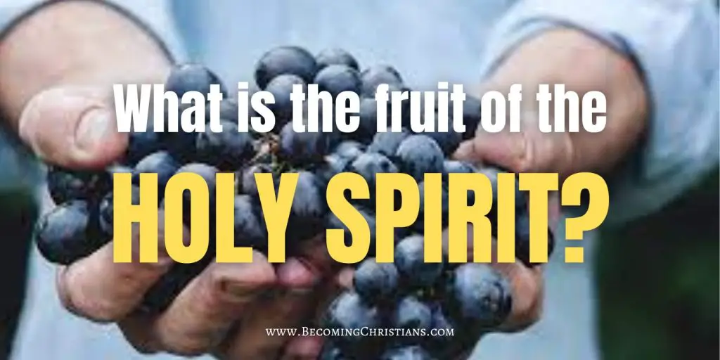 What is the fruit of the holy spirit blog image