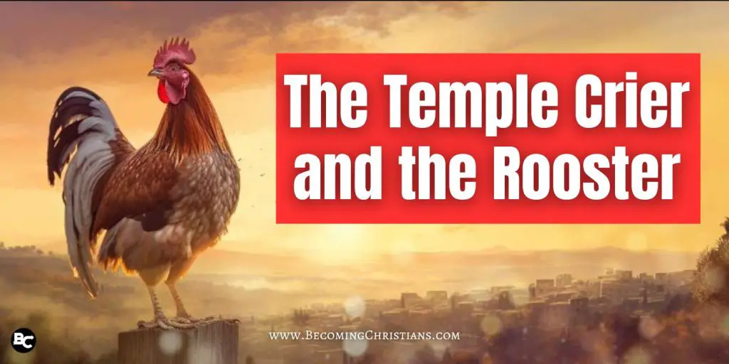 The Temple Crier and the Rooster