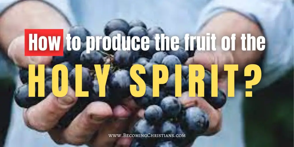 how to produce the fruit of the holy spirit