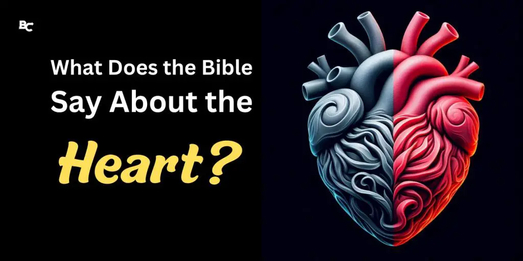 What does the bible say about the heart
