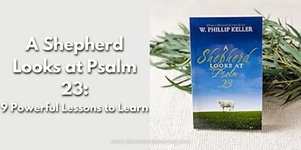 A Shepherd Looks at Psalm 23 9 Powerful Lessons to Learn blog image