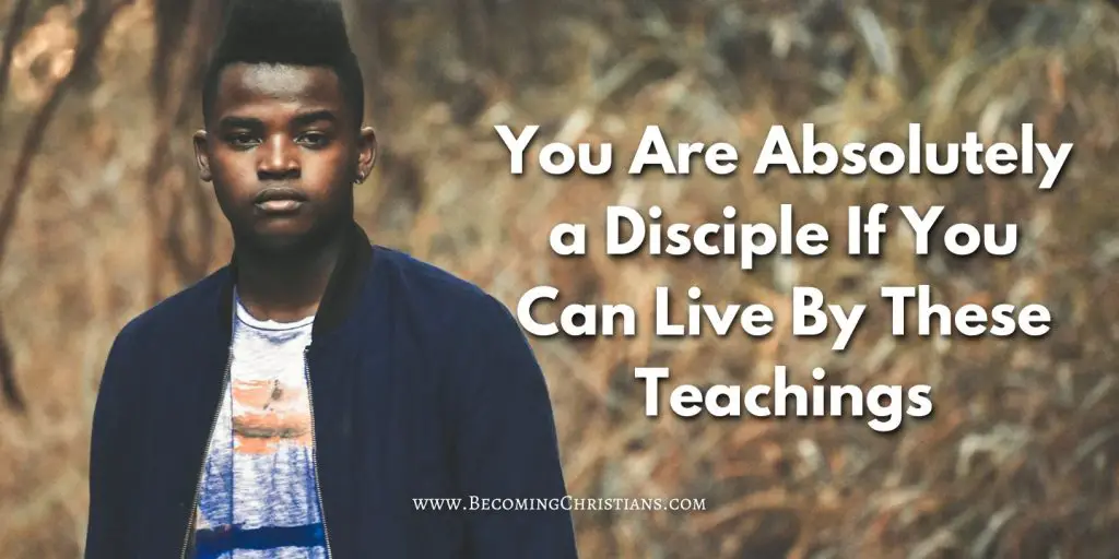 You Are Absolutely a Disciple If You Can Live By These Teachings blog image