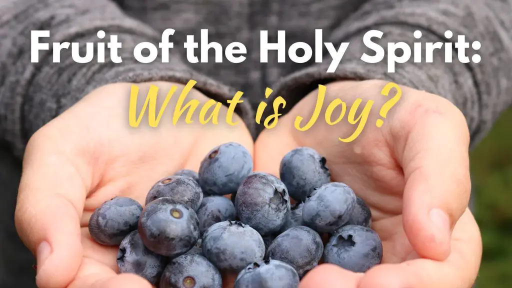 Fruit of the Holy Spirit What is Joy blog image
