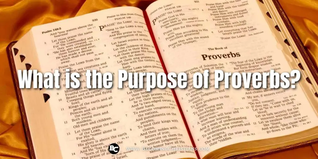What is the Purpose of Proverbs blog image