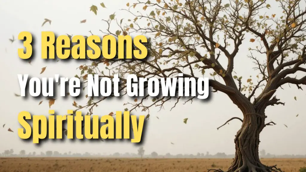 3 Reasons You're Not Growing Spiritually blog illustration