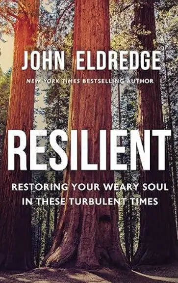 Resilient Restoring Your Weary Soul in These Turbulent Times book cover