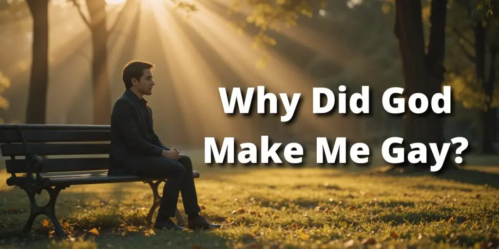 Why Did God Make Me Gay? blog image