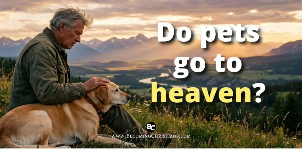 Do pets go to heaven? featured blog image